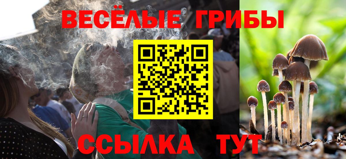 Псилоцибиновые грибы мицелий Когалым