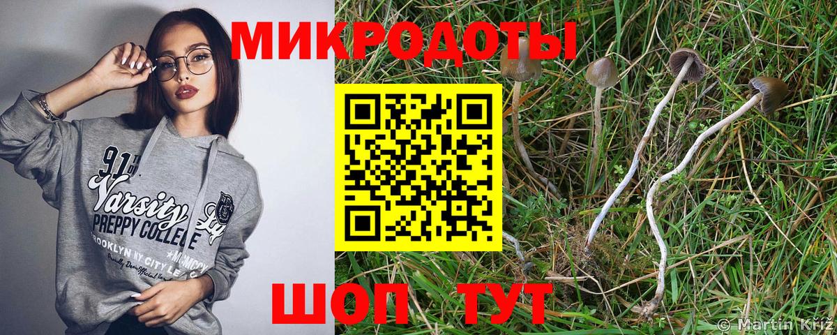 Псилоцибиновые грибы мицелий  Вход с VPN  Когалым 